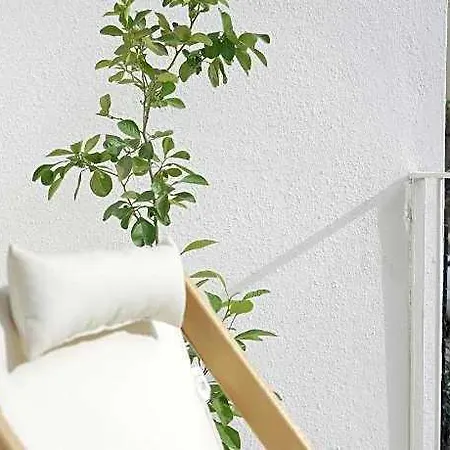 Perle House فندق